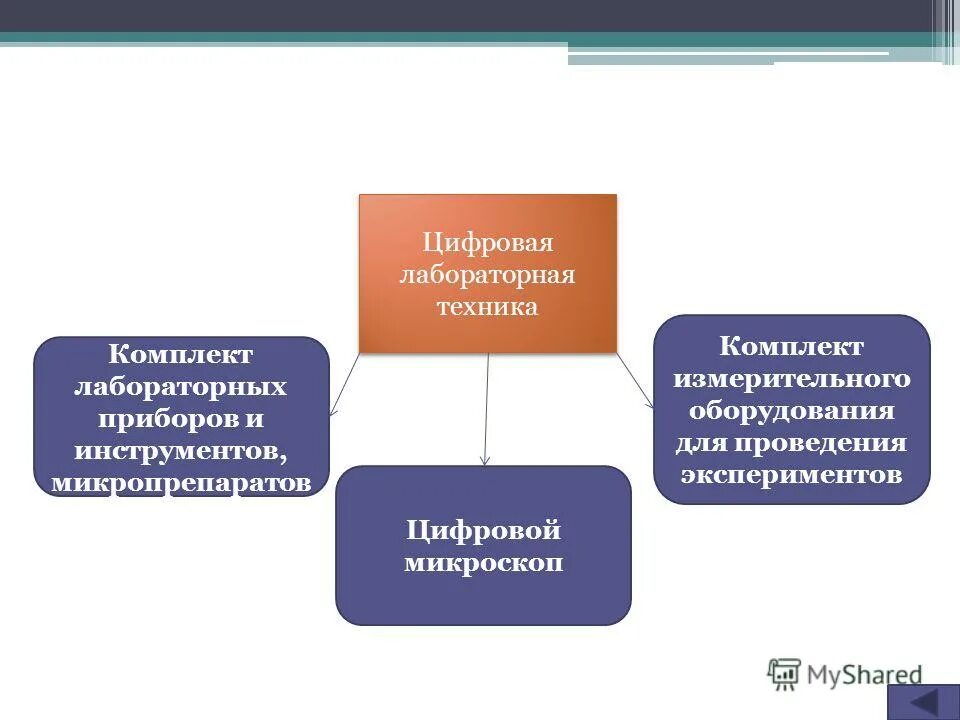 Презентация на тему цифровая лаборатория. @ natural ultimate digital experiment. Аппаратные средства в школе список. Промышленность будущего. Цифровые инструментыэтто.