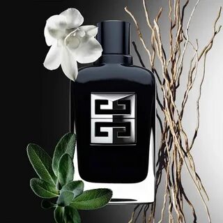 Givenchy society отзывы