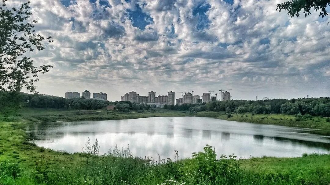 Город раменский московская область фото. Раменский парк Борисоглебское озеро.