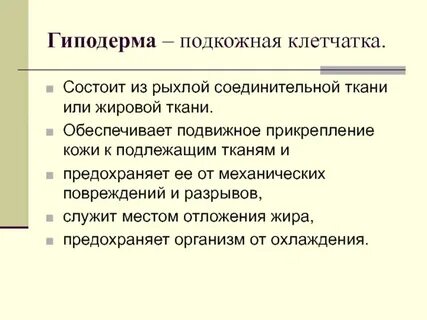 Гиподерма какая функция