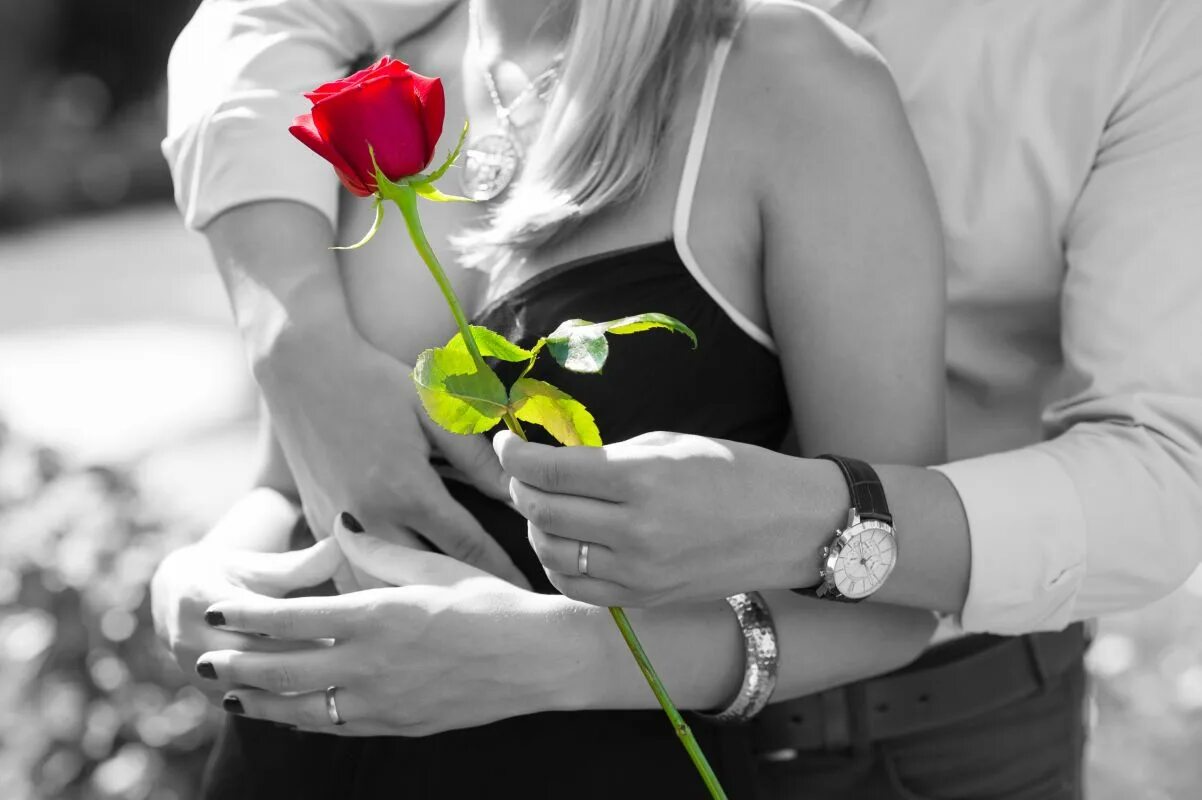 Red wife. Мужская рука с цветами. Романтические цветы. Романтические картинки. Романтика нежность.