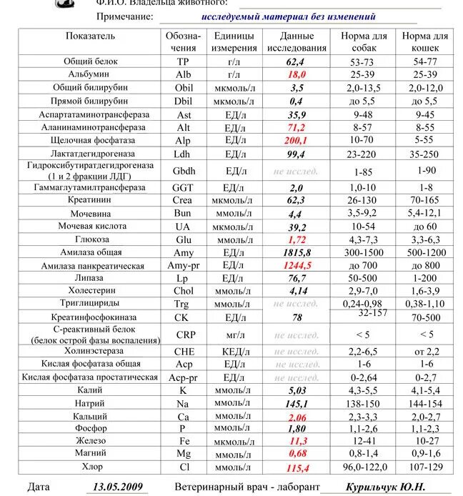 Фосфатаза биохимия. Показатели крови щелочная фосфатаза повышена. Норма щелочной фосфатазы в крови. Показатели щелочной фосфатазы у детей норма. Щелочная фосфатаза норма ммоль.