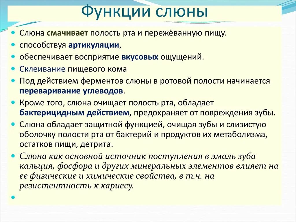 Составляющие слюны. Функции слюны. Функции слюны в ротовой полости. Слюна действие на пищу. Свойства и функции слюны.