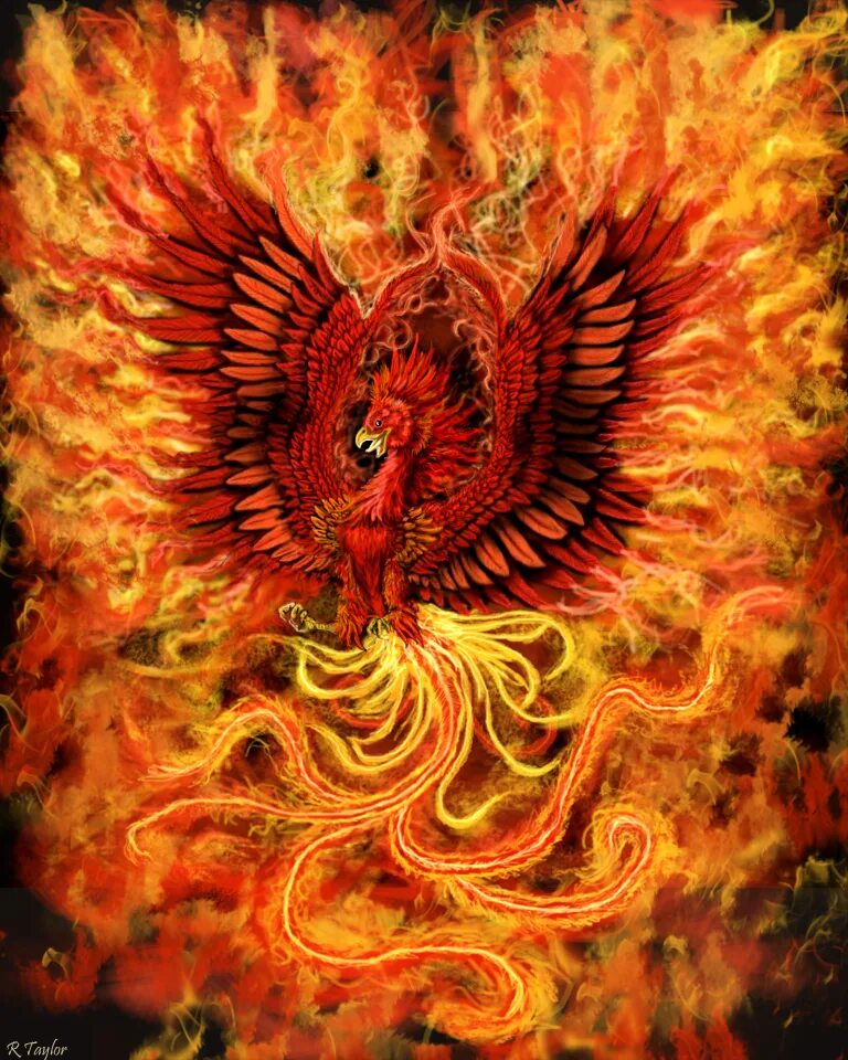 Феникс phoenix. Сокол Феникс Рарог. Огненная птица Рарог. Рарог Огненный Сокол славян. Финист в славянской мифологии.