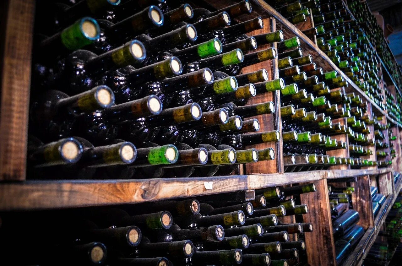 Wine processing
