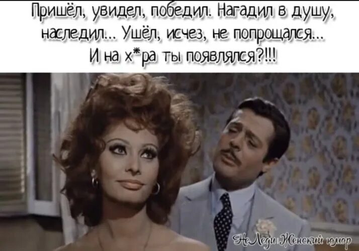 Софи лорен 1964. Неаполь софи лорен. Брак по итальянски видео. Брак по итальянски видео. Софи лорен 1964.