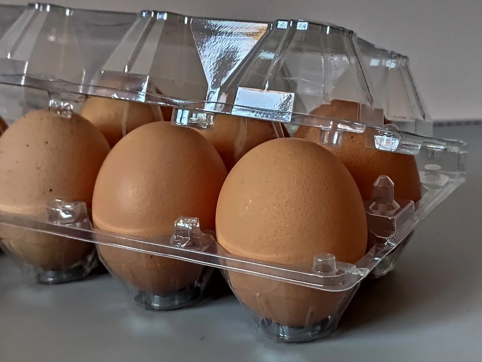 Упаковка для яиц купить. Упаковка для яиц. Лоток для яиц. Пластиковая упаковка для яиц. Яйца куриные в упаковке.
