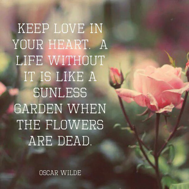 Keep Love in your Heart a Life without it is. Keep Love in your Heart. A Life without it is like a sunless Garden when the Flowers are Dead.. Keep Love in your Heart a Life without it is like a sunless Garden when the Flowers are Dead перевод. Life is a Flower. Keep your love