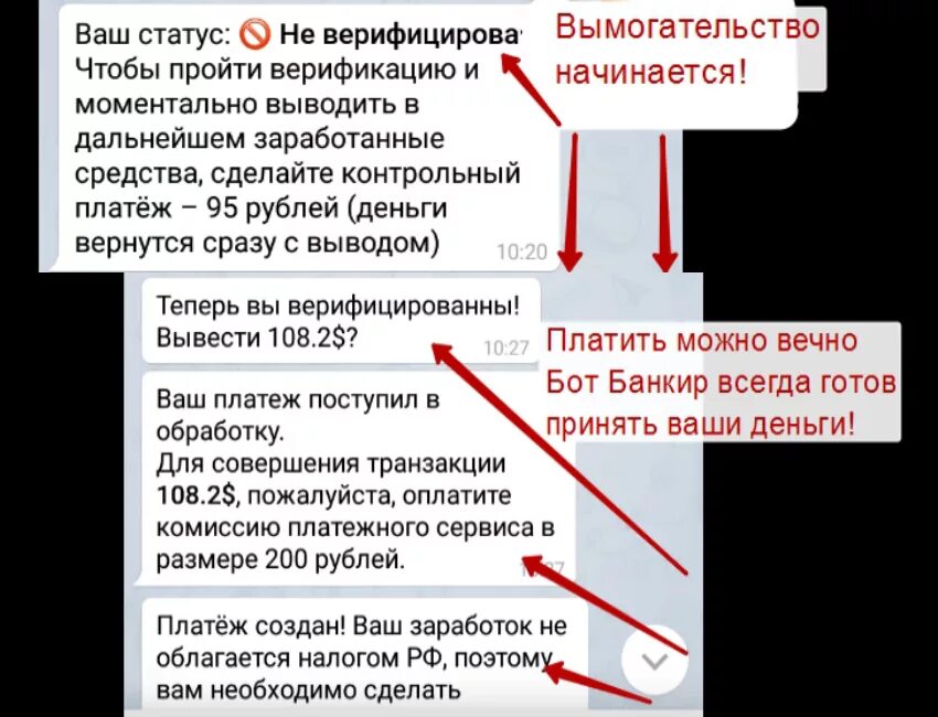 Ваш статус. Деньги за верификацию. Статус карты не верифицирован что это. Как в телеграмм пройти верификацию для выплаты. Лучшие автоматы на деньги без верификации