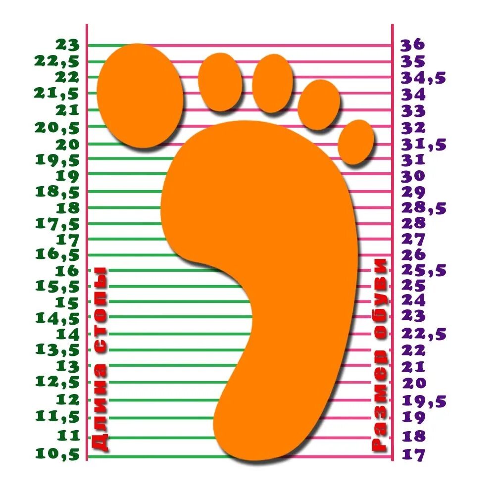 Стопа ребенка в см. Размерная сетка Мифер детская обувь. Капика детская обувь Размерная сетка ботинки. Детская обувная сетка Размерная. Размерная сетка детской й обуви.