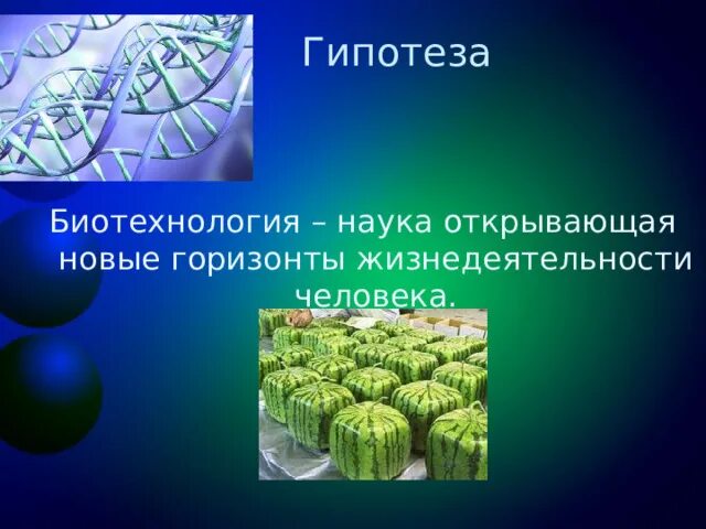 Биотехнология проект. Гипотеза биотехнологии. Экологическая биотехнология. Гипотеза по биотехнологиям. Биотехнологии проект.