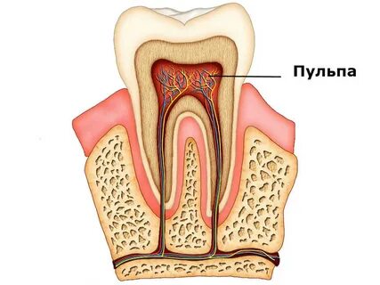 Пульпа упаковка
