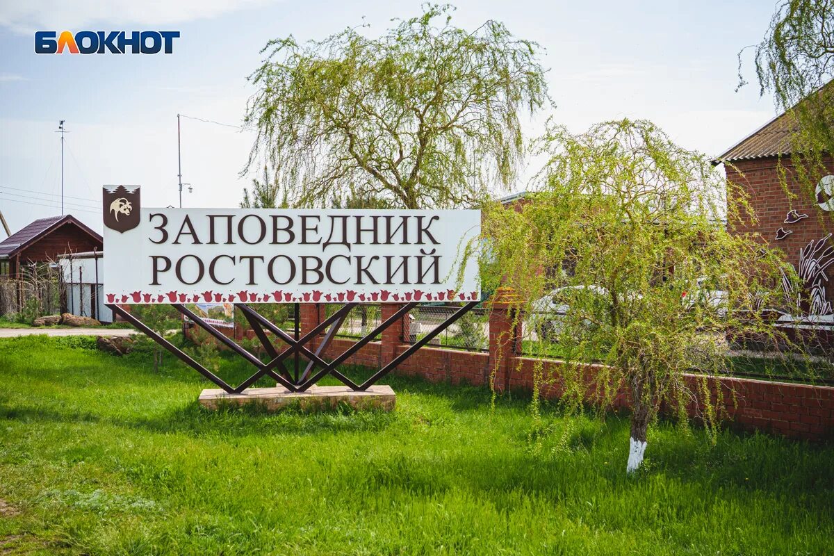 Заповедник орловский ростовской. Заповедник орловский ростовской. Обыкновенная лиса в ростовском заповеднике. Ростовский биосферный заповедник тюльпаны. Заповедник орловский ростовской.