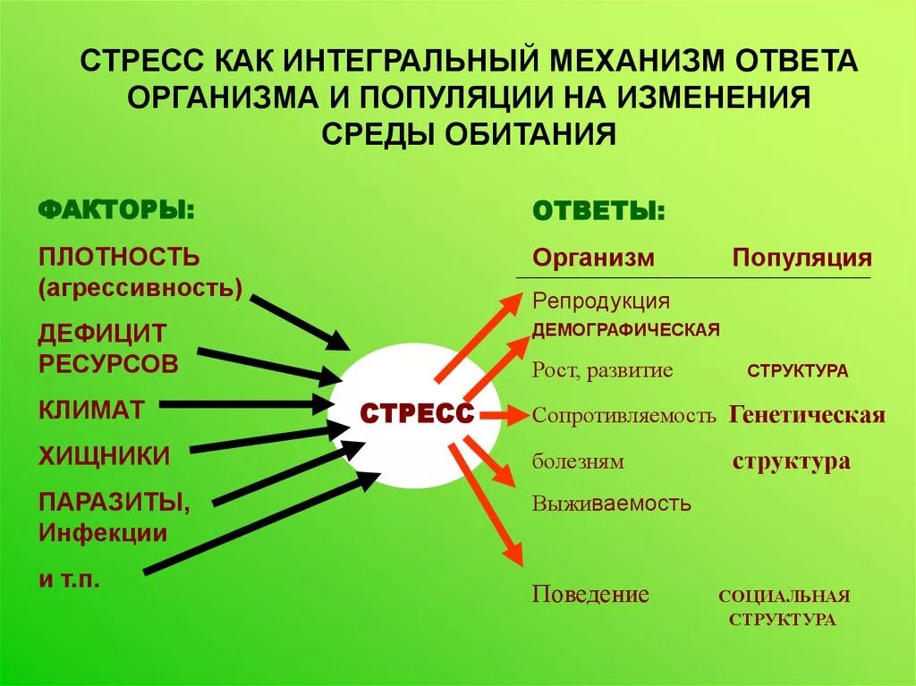 Понятие стресса. Факторы стресса организма. Причины экологического стресса. Стресс окружающая среда. Реакции организмов на факторы среды