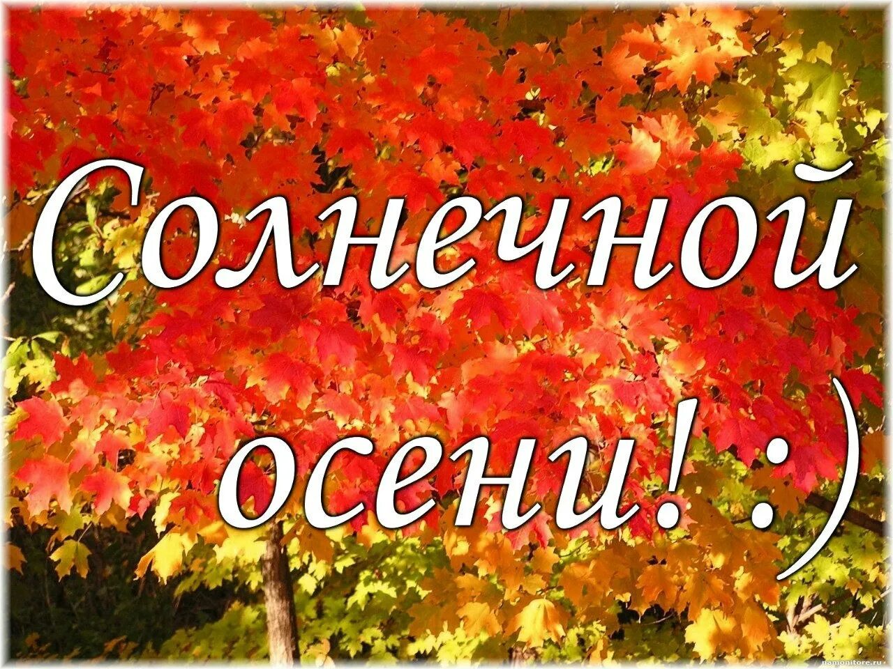 Ура осенние каникулы. Ура осень. Яркие осенние каникулы. Открытка с каникулами осенними. Осень картинки прикольные.