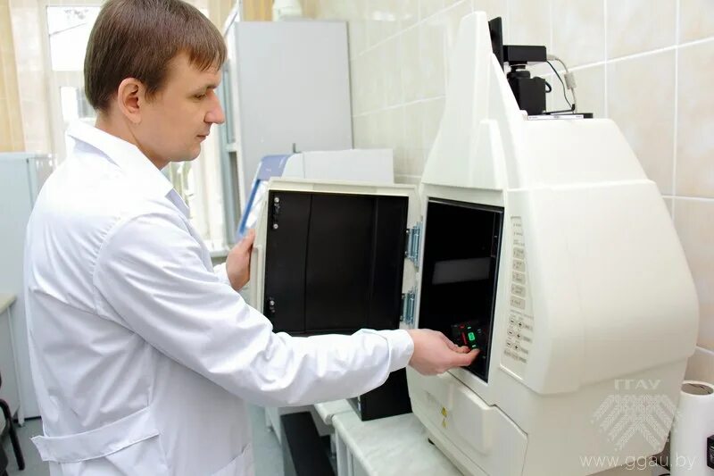 Институт генетики горяева