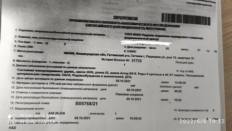 Гистология сроки анализа
