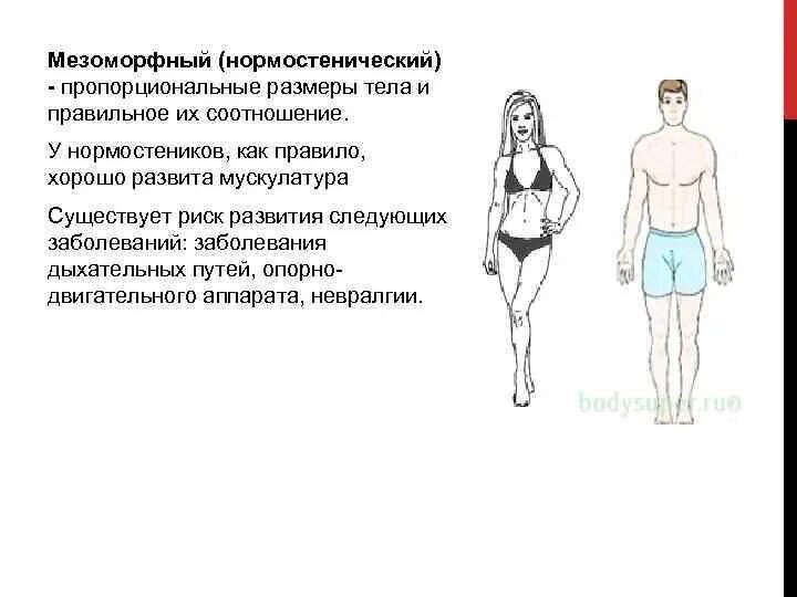 Определение типа телосложения. Конституция тела нормостеник. мезоморфный тип нормостенический. мезоморфный нормостенический тип телосложения. мезоморфный тип телосложения сердце.