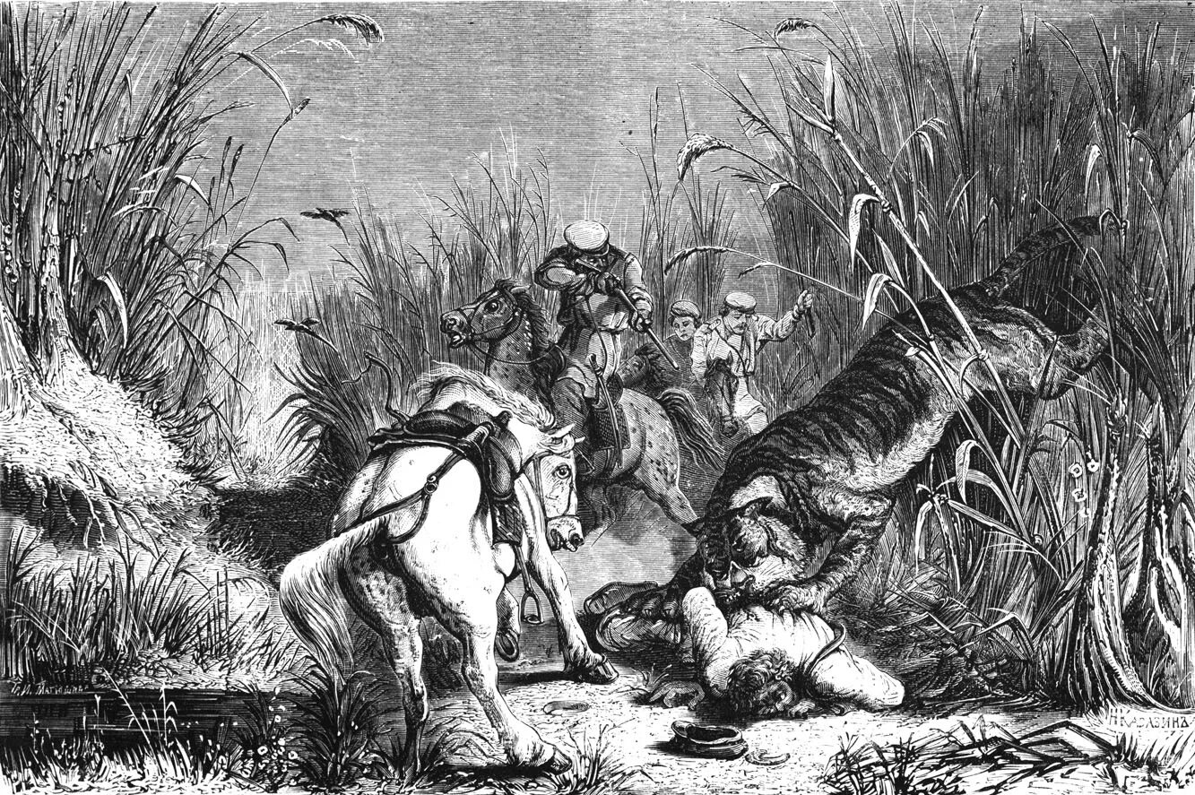 охота на истинную