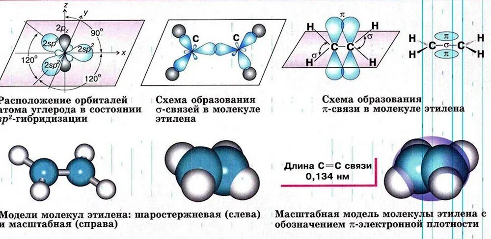 Схема образования п связи ацетилене. Связи между молекулами пропена. Пространственная структура пропана. Пространственная структура этилена. Пространственная структура этилена.