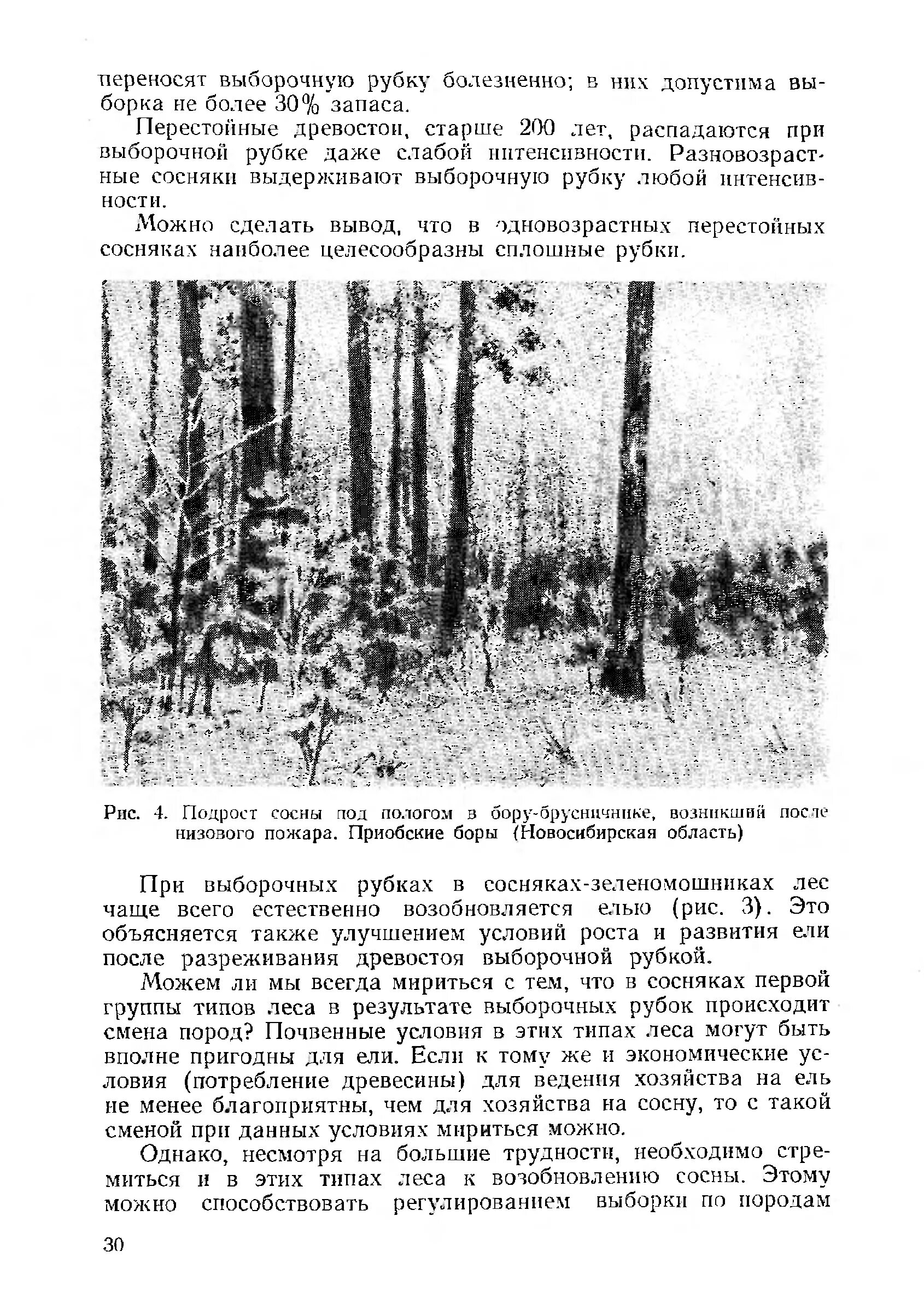 Что происходит при низовых лесных