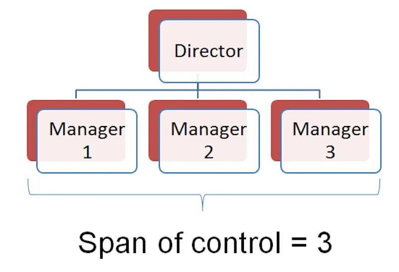 What are the controls. Narrow span of control. wide span of control. span of management. what is span.