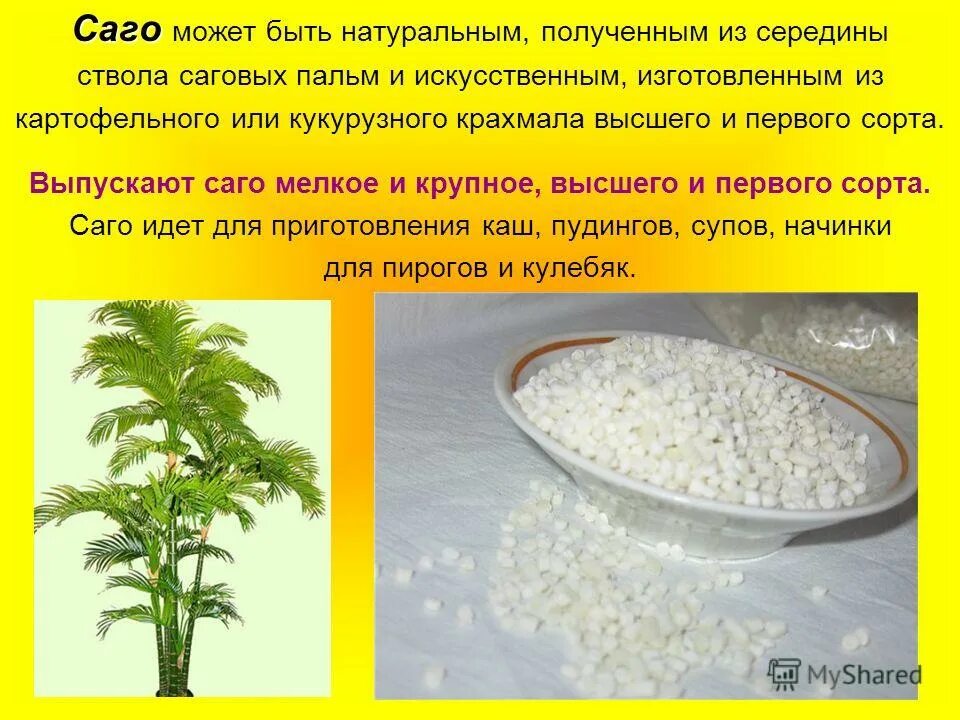пальмовый сахар. пальмовая крупа 4 буквы. пальмовая крупа 4 буквы. саго крупа. крупа из пальмового крахмала.