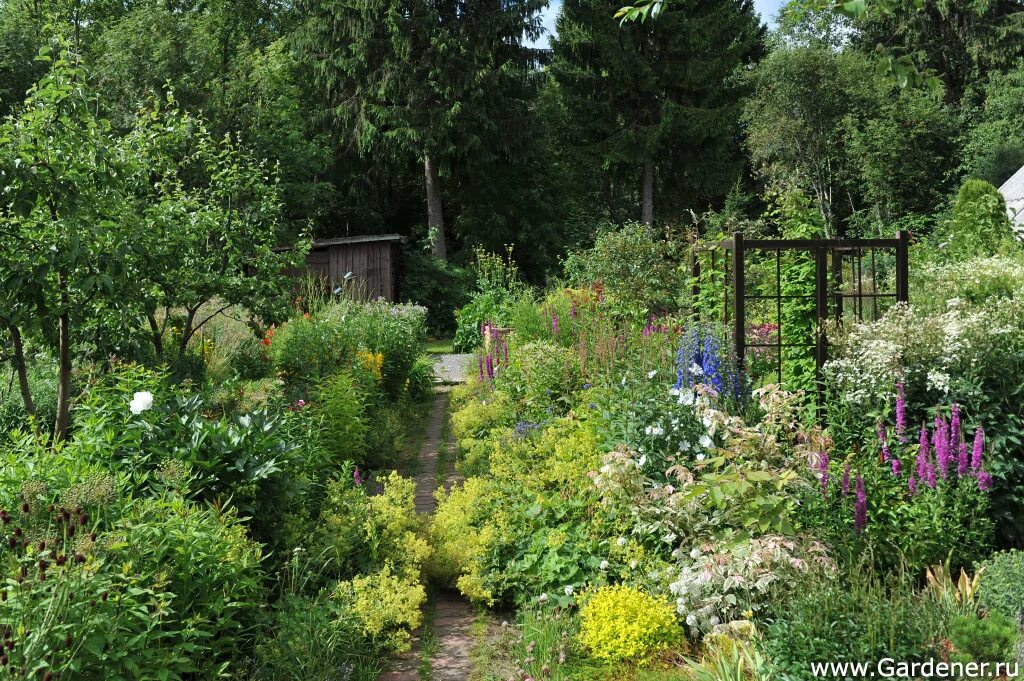 Садовая 11. Патриарший сад во владимире фото. Garden владимирская ул 5 11. Патриарший сад во владимире фото. Garden владимирская ул 5 11.