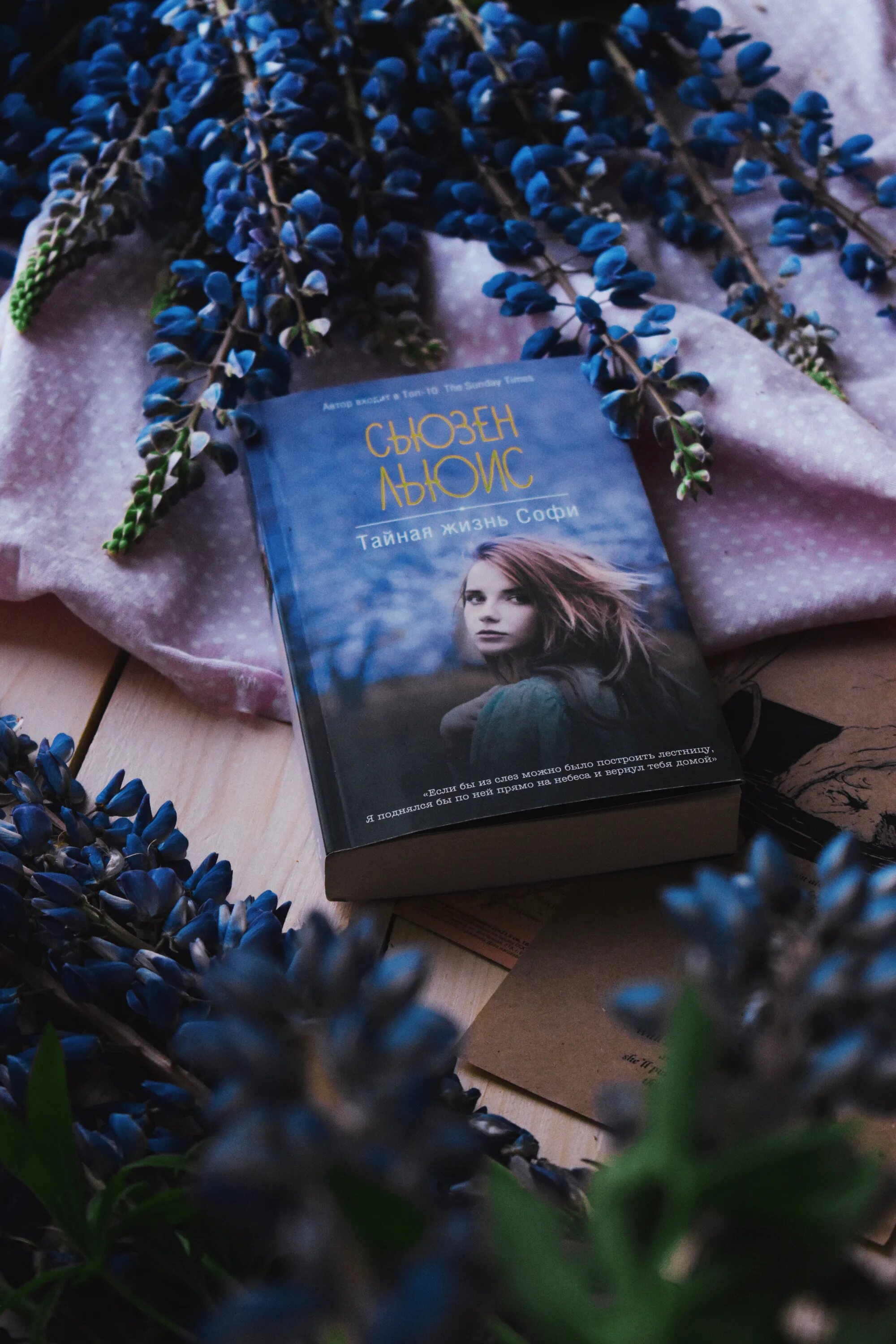 Жизнь софии книга. Жизнь софии книга