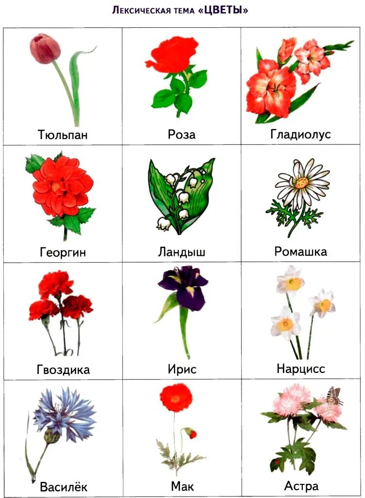 Тема цветы для дошкольников. Лексическая т4мв цветы. Названия цветов для дошкольников. Лексическая тема цветы