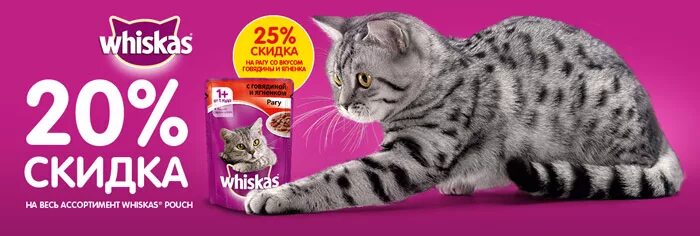 Корм вискас новогодний. Рекламный текст вискас. Котик вискас. Текст вискас. Рекламная кошка вискас.