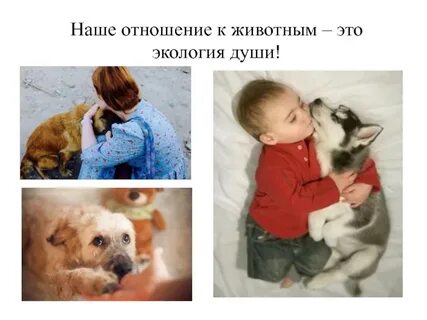 Отношение к животным произведения
