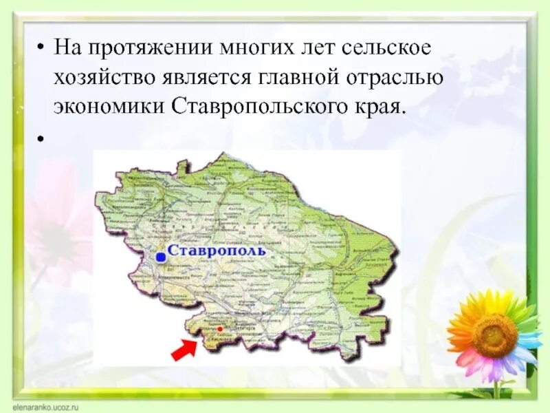 Ставропольский край социальное развитие. Экономика Ставрополя 3 класс окружающий мир. Отрасли экономики Ставропольского Ставропольского края-. Проект экономика родного края Ставропольский край. Экономика Ставропольского края проект 3.