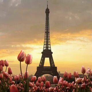 Like in paris