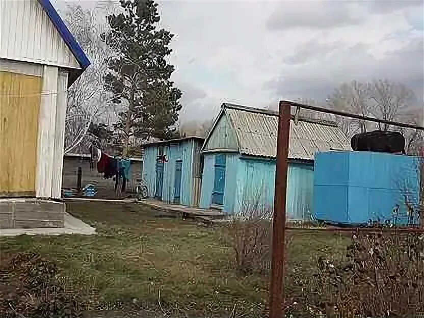 Алтайский край, локтевский р-н, гилёвский сельсовет, с. Алтайский край, локтевский р-н, с. Гилёвское водохранилище алтайский край базы. Гилёво. Погода в гилево алтайский.