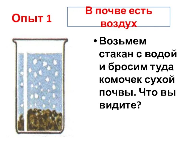 Как доказать что в сухаре есть воздух. Опыт в почве есть воздух. опыт с почвой и водой. эксперименты с почвой. эксперимент в почве есть воздух.