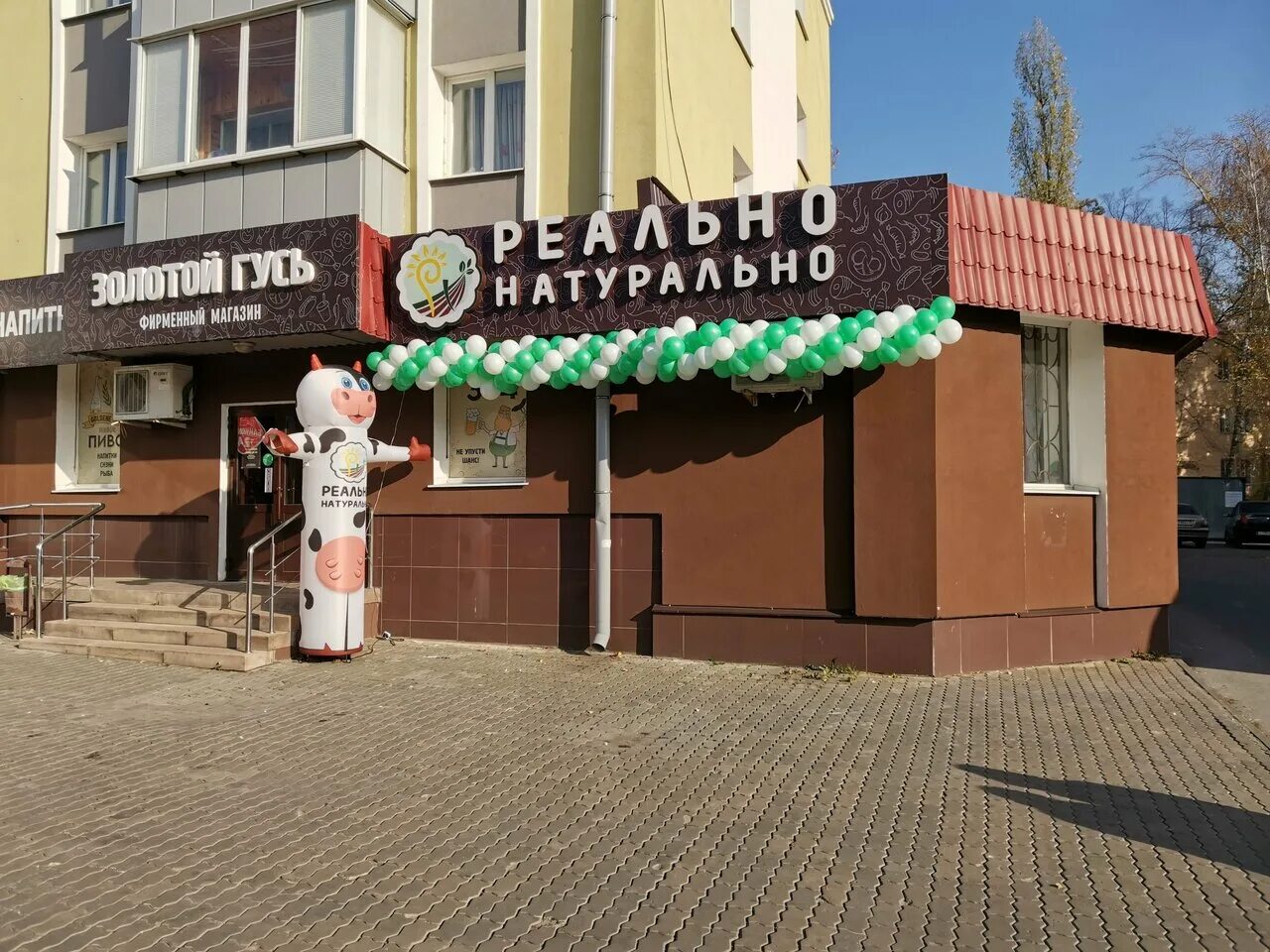 зегеля 30 липецк. ул зегеля 33 липецк. золотая корона липецк банк. улица зегеля 2 липецк. семейный доктор липецк зегеля.