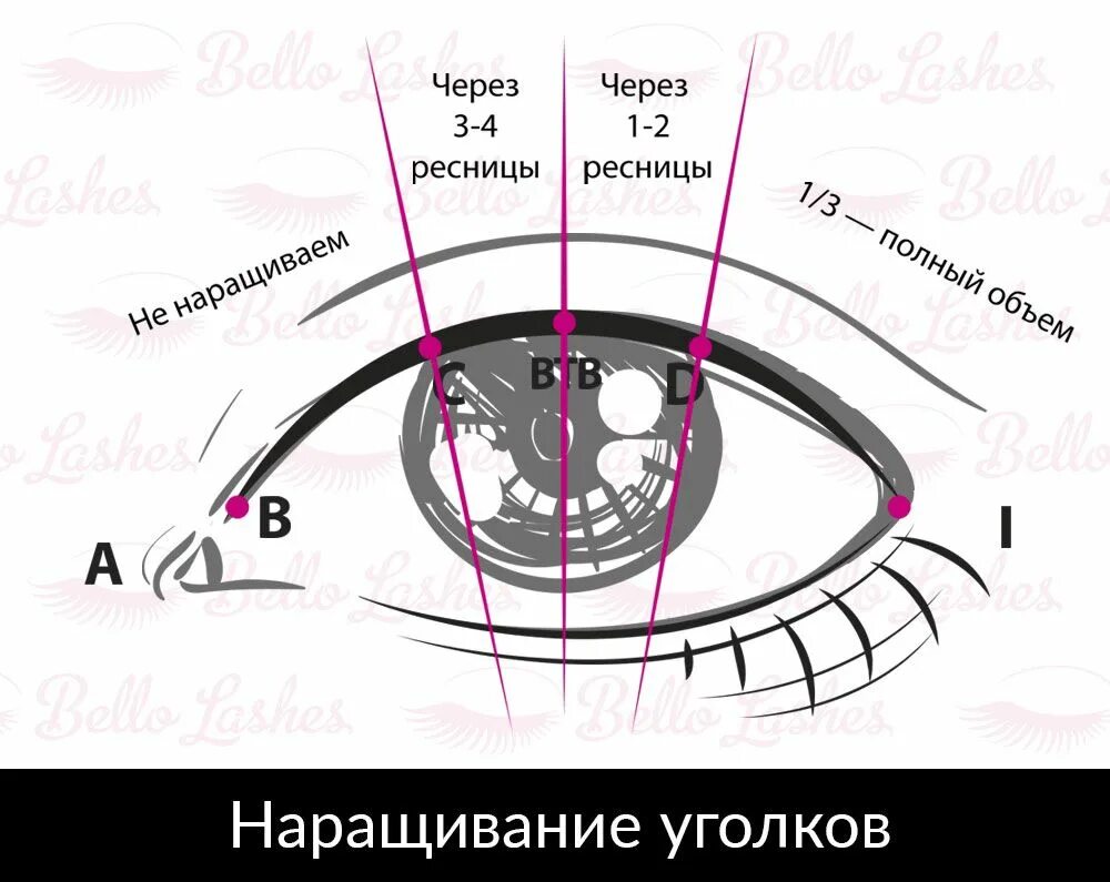 Наращивание ресниц схемы. Лисий эффект наращивания ресниц схема. Натуральный эффект наращивания 2д схема. Натуральный Лисий эффект наращивания ресниц схема. Наращивание ресниц уголки глаз схема.