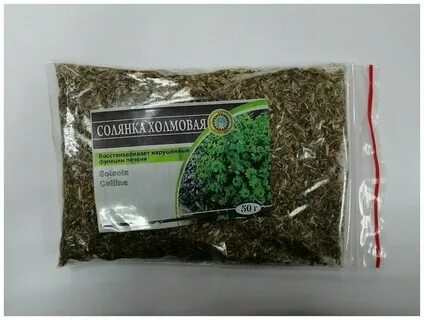 Трава солянки холмовой отзывы