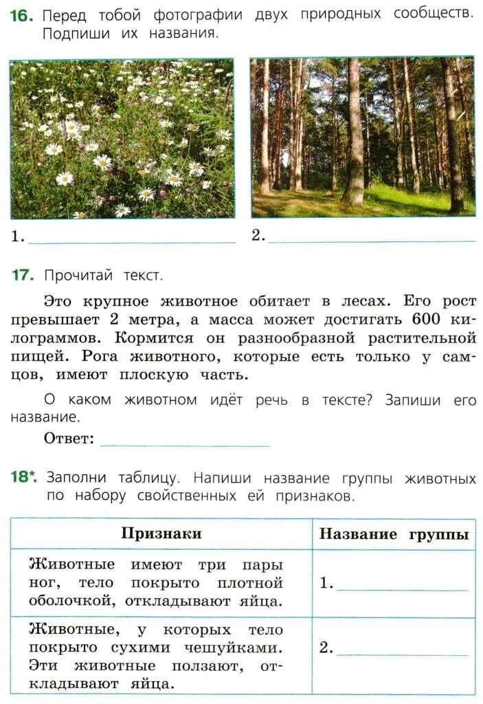 Подпишите названия природных сообществ. Подпиши названия природных сообществ. перед тобой фотографии двух природных сообществ подпиши. перед тобой фотографии двух природных сообществ подпиши их названия. перед тобой фотографии 2 природных сообществ подпиши их названия.