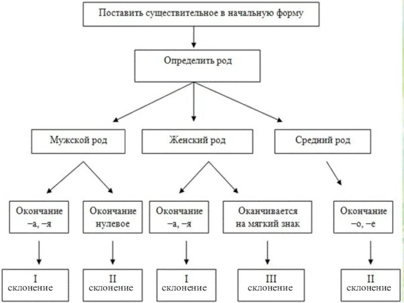 Обобщение по теме существительное 3 класс. Схема имена существительные 2 класс. Опорная схема имя существительное 5 класс. Схема имени существительного в русском языке. Имя существительное как часть речи схема.