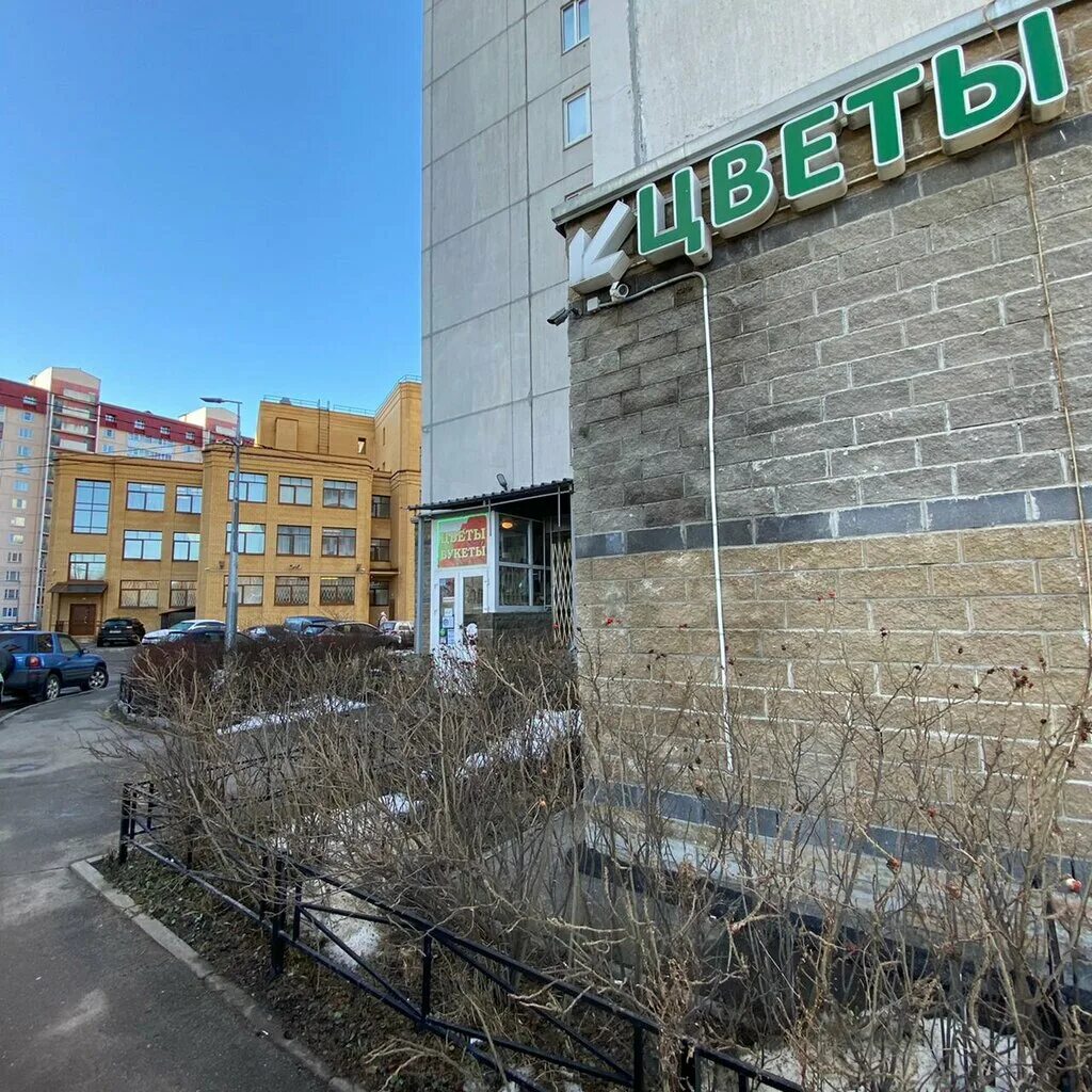 Камышовая 38 корпус 1. Камышовая 48 к 3. 1. Цинь камышовая ул. Камышовая ул.