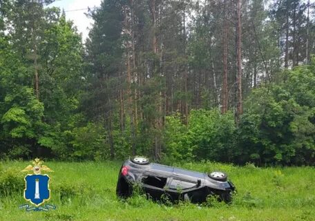 Дтп в шаховской