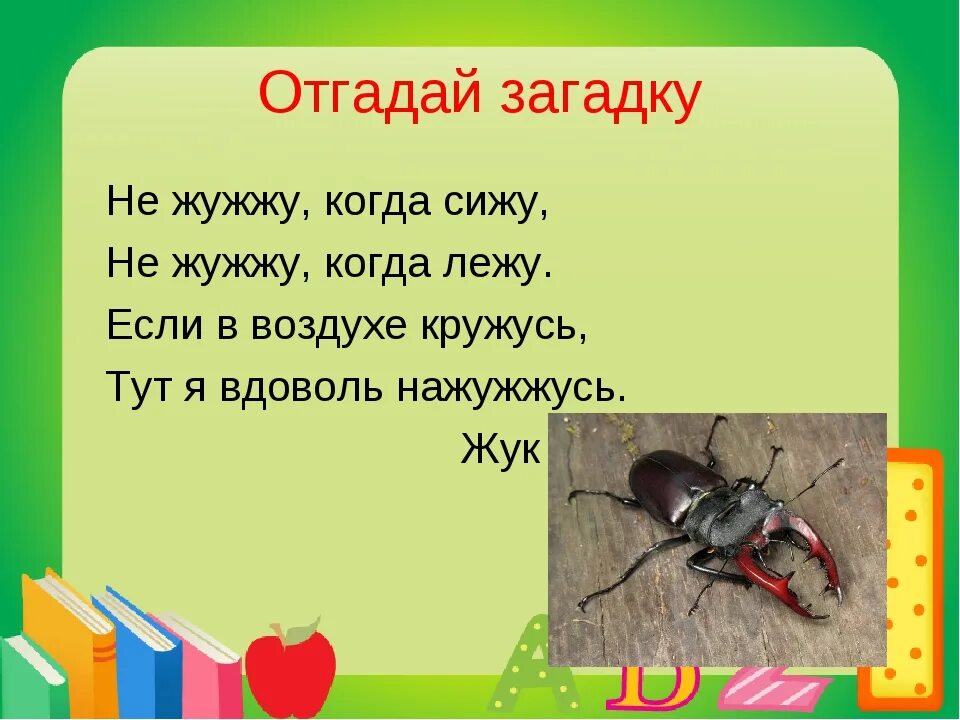 Загадка папа важный краснолапый мама. Загадки. Загадка про жука. Загадка про жука для детей. Загадка про жука 1 класс.