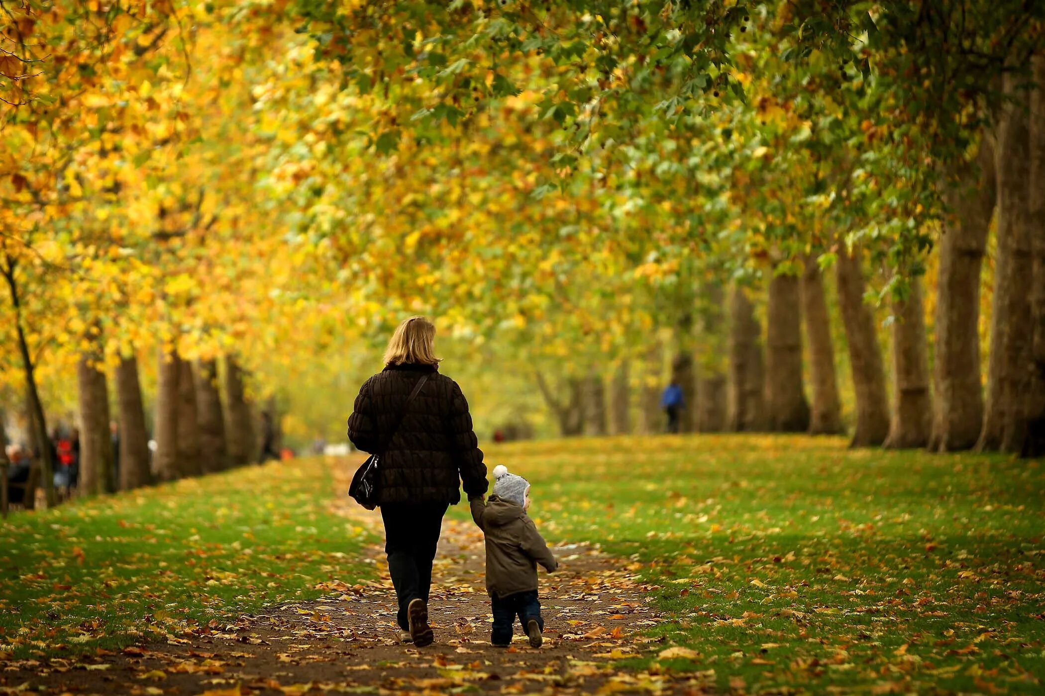 Мама пойдем в парк. Прогулка в парке. Прогулка в осеннем парке. Прогулка в парке осенью. Осень в парке.