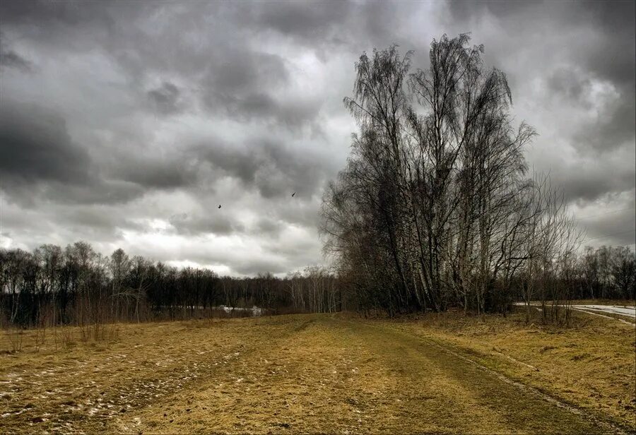 Пасмурный день. Пасмурный осенний день. Пасмурная осень. Пасмурный весенний день