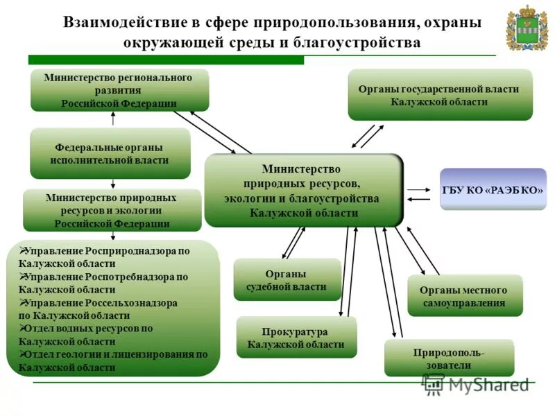 Компетенции органов местного самоуправления в экологической сфере. Схему управления в сфере экологии. Органы местного самоуправления в области охраны окружающей среды. Органы в сфере экологии.