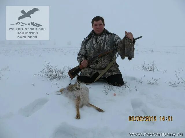 охота на зайца в саратовской области. охота на зайца в саратовской. охота на зайца в саратовской. охота на зайца с гончими саратовской области. охота на зайца в саратовской области.