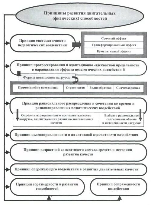 Двигательные качества методика