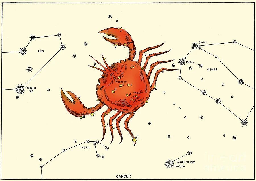 Планета янссен в созвездии рака почти. Cancer Созвездие. Созвездие трезубец. Cancer Constellation. Альтарф – самая яркая звезда созвездия рак..